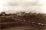 Allotments and Brickfield c 1910